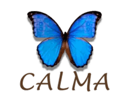 Calma Belleza Centro Estética